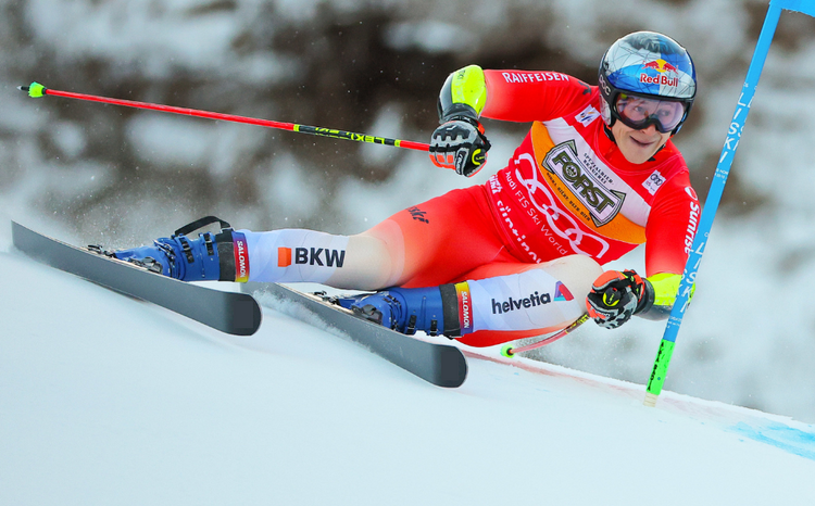 Race Skis